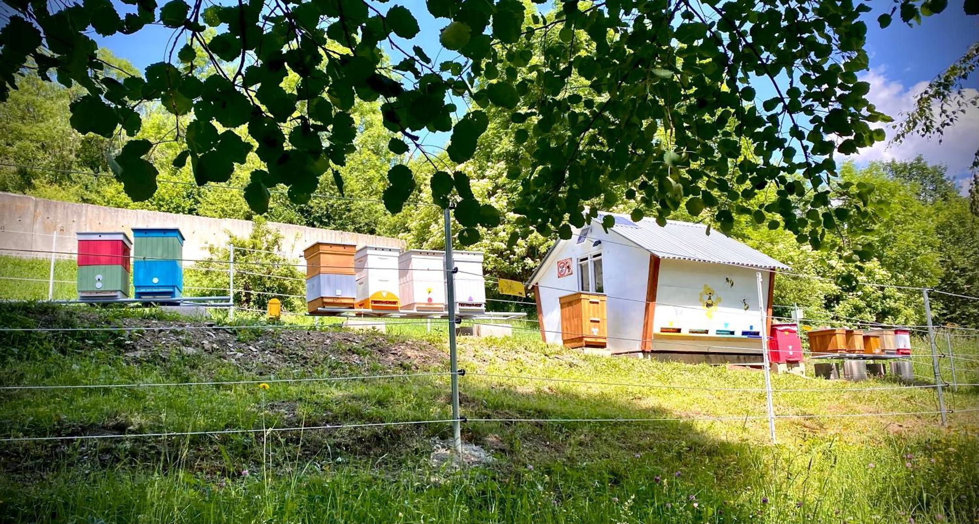 Apartmany Svrcinky Liptovsky Mikulas Luaran gambar