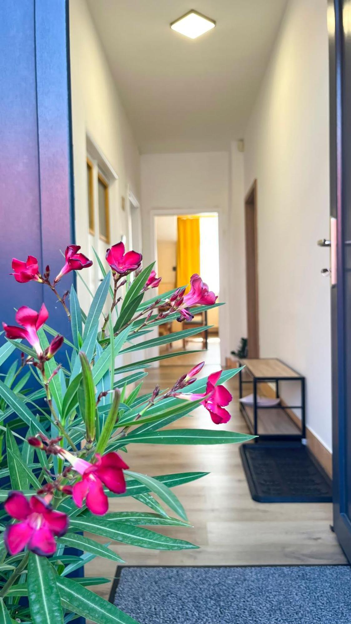 Apartmany Svrcinky Liptovsky Mikulas Luaran gambar